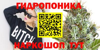 гидра Можга