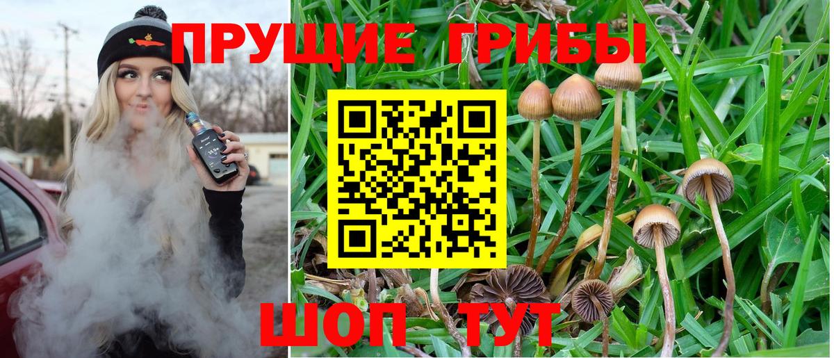 Уварово  Галлюциногенные грибы GOLDEN TEACHER  купить  сайты  Вход с VPN 